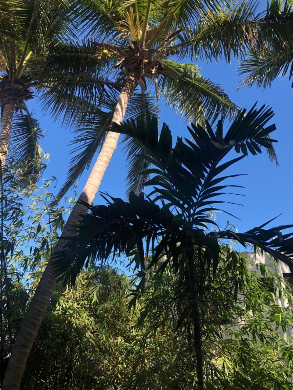 Villa Florencia Bavaro プンタ・カナ エクステリア 写真