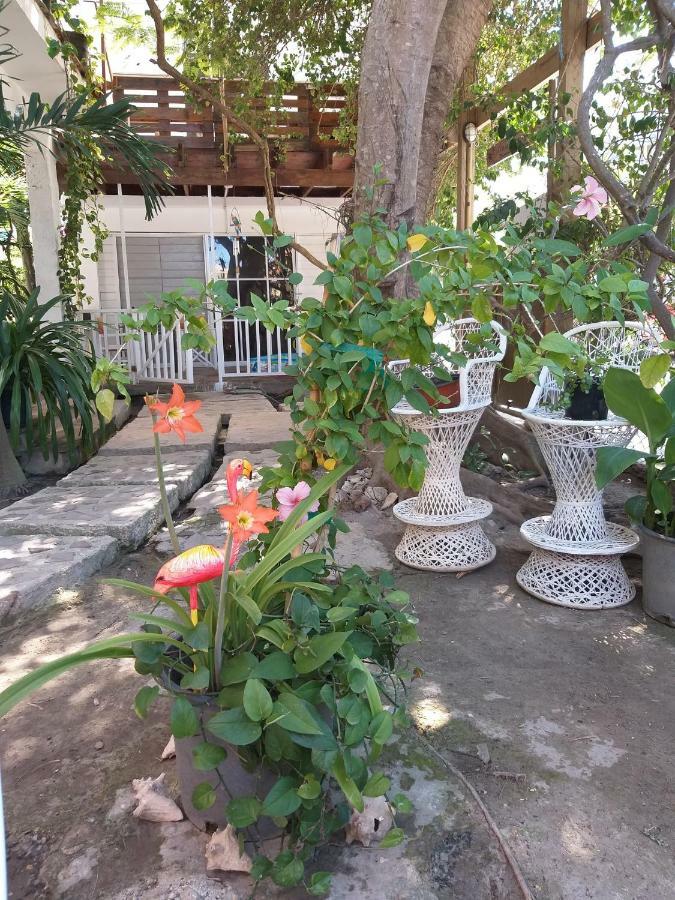 Villa Florencia Bavaro プンタ・カナ エクステリア 写真